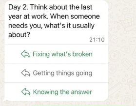 Day 2 Founder question with three tappable answers